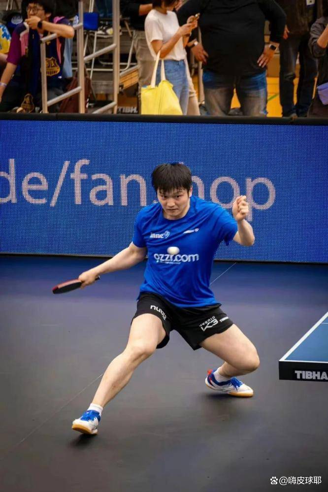 瑞典乒乓球队强势比利时乒乓球队，樊振东统治全场