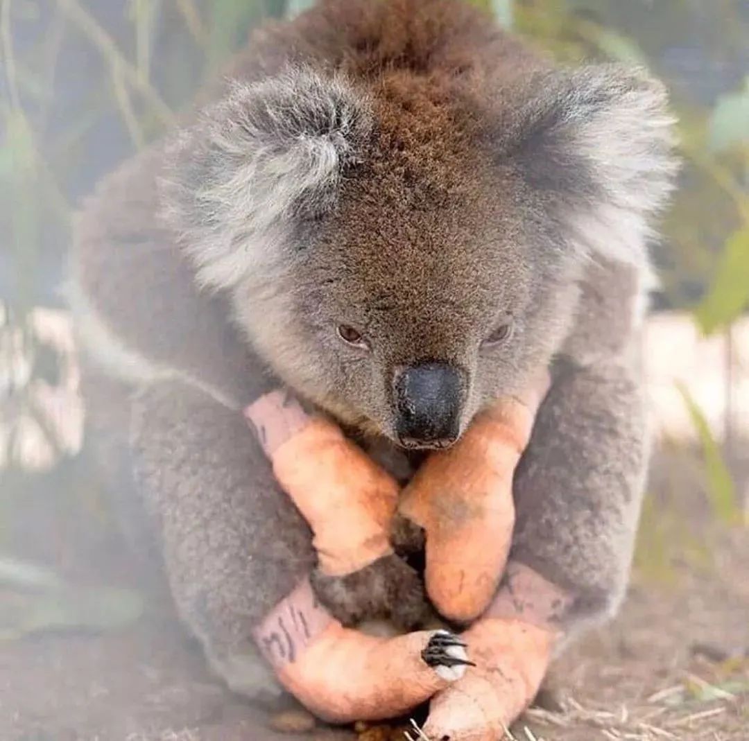比赛中出现了不可思议的一幕