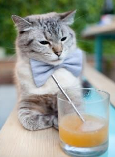 赛道反转夜，阿斯顿马丁轻取梅赛德斯，诺里斯高光点亮围场新秩序