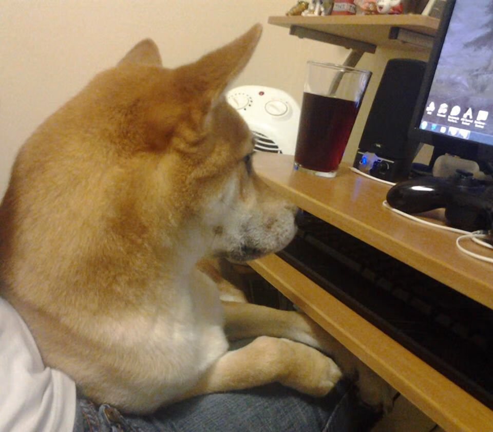 最后24秒，他颠覆了篮球哲学，戈贝尔的左手，如何击穿约基奇的右手天空？