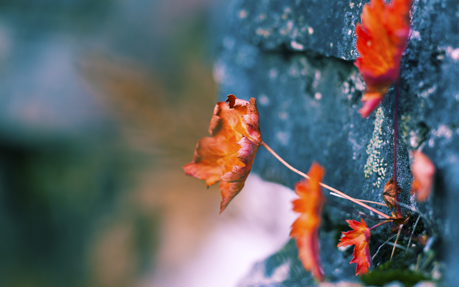 末节翻盘史诗，深圳奇兵锁死东契奇，14分逆转创队史