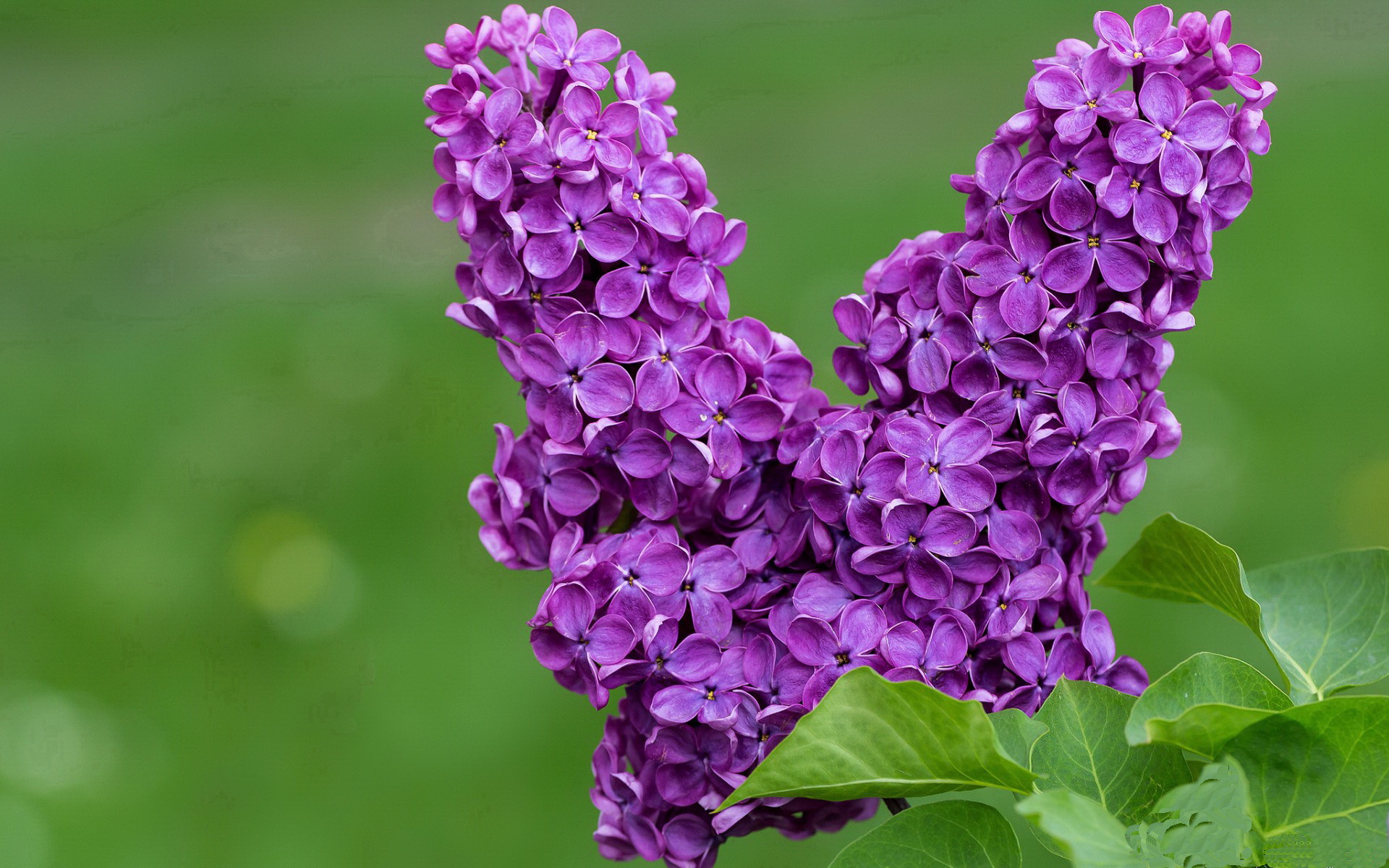 东决关键战之夜，冰与火的独舞者，为何孔德赛后评分拉满？