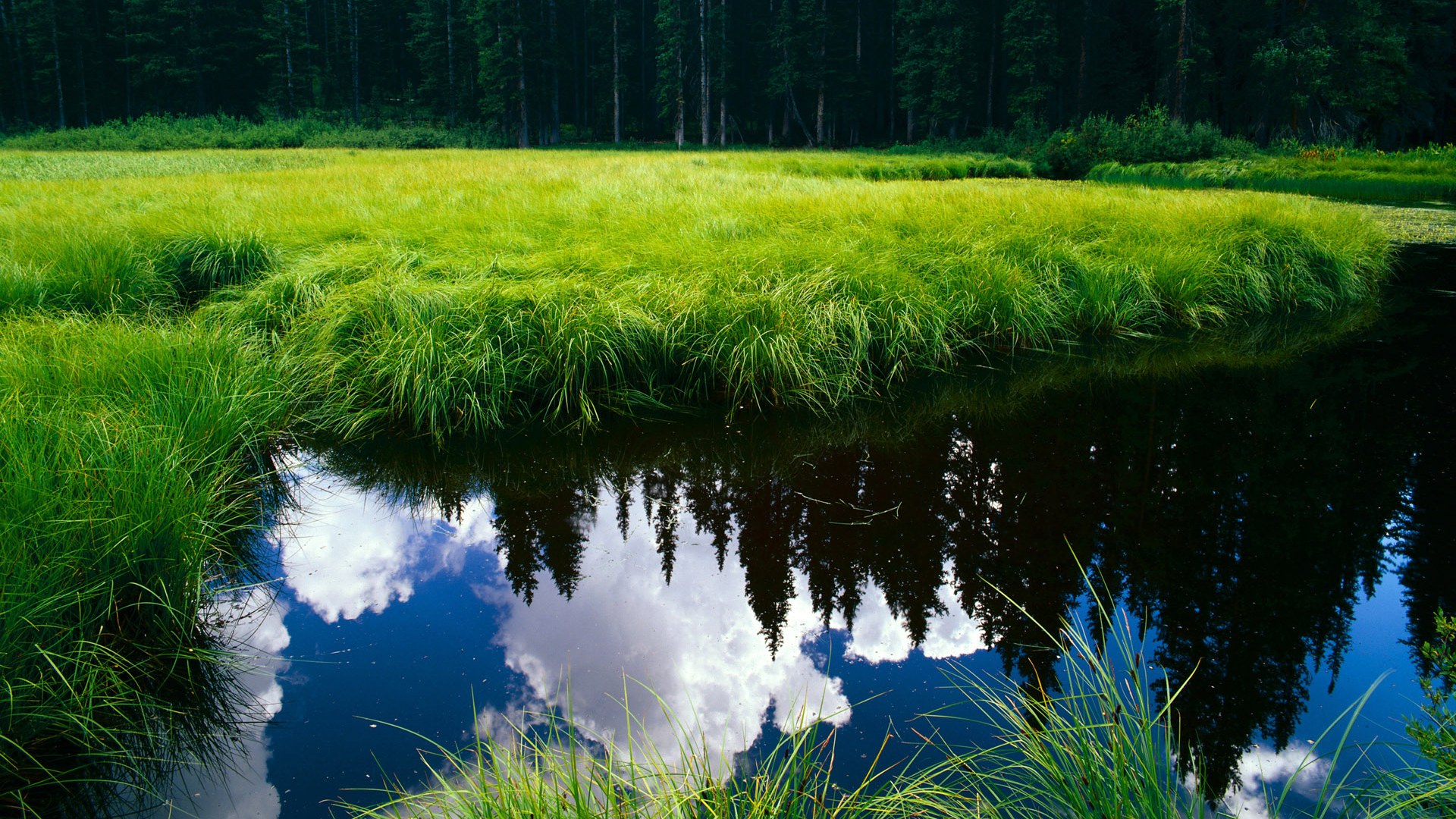手术刀与攻城锤，范弗利特的冷静切割如何击碎活塞的钢铁洪流
