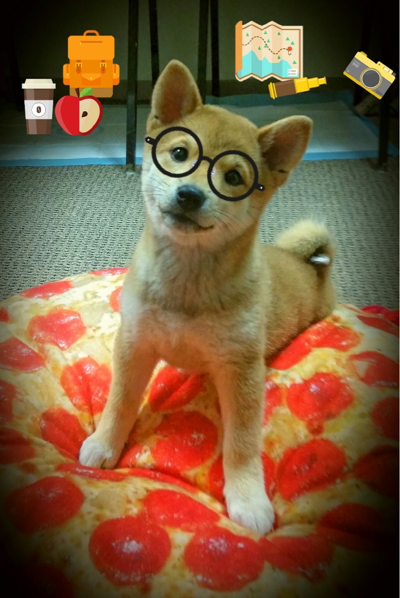 红白风暴席卷双线战场，从德甲争冠的战术密码，到奥地利击碎乌克兰的钢铁防线