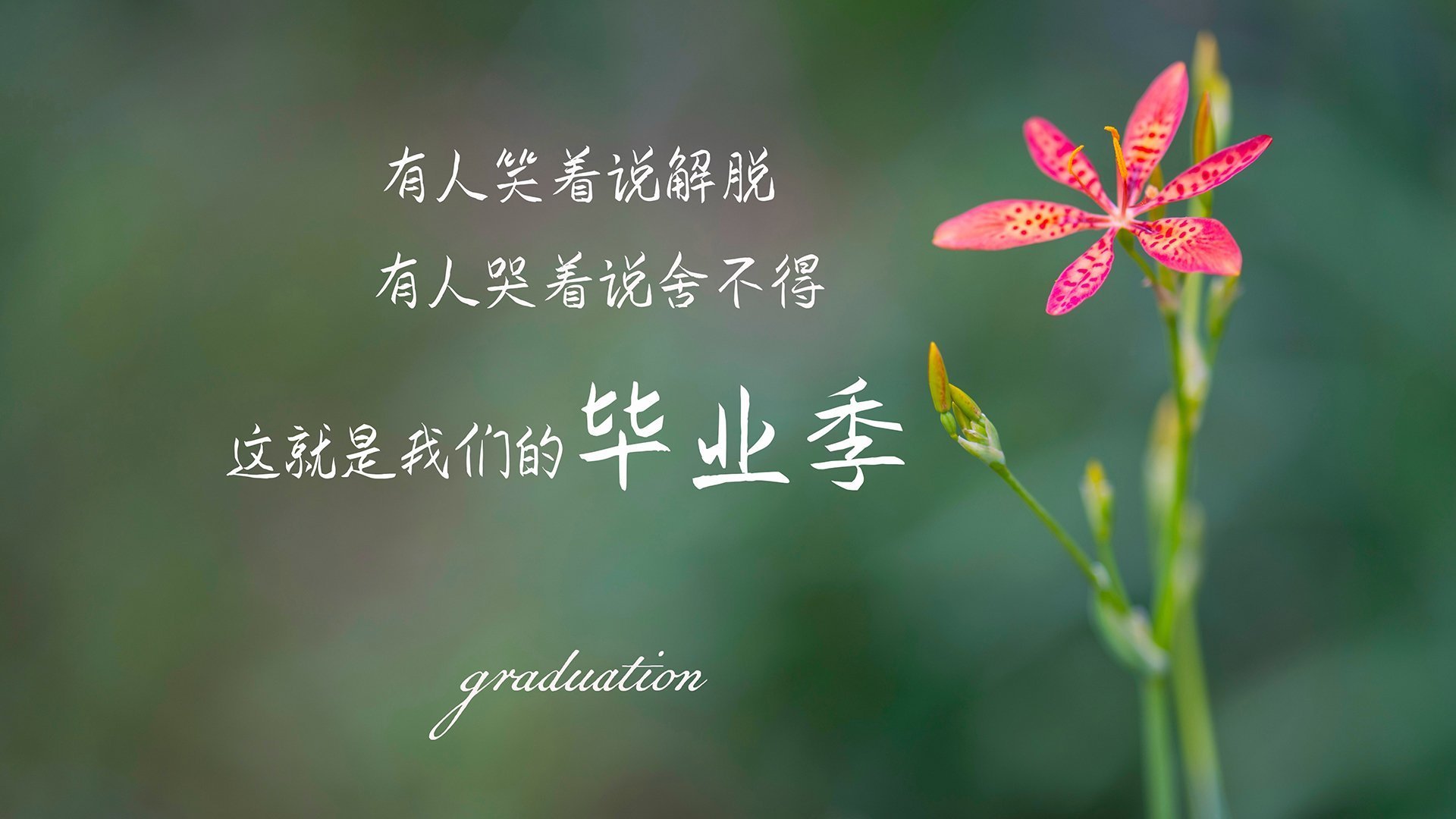 楚阿梅尼暴走点燃赛场,苏格兰单节23分狂潮击退美国