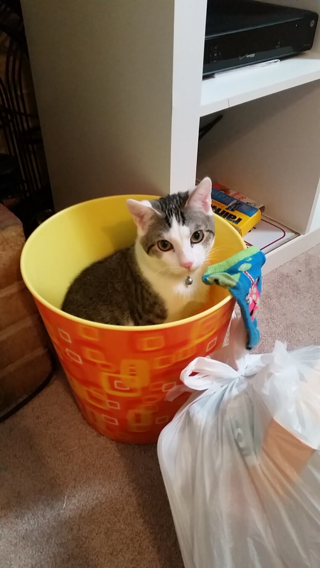 时空调转，当威尔士击败冰岛，阿圭罗在NBA总决赛接管比赛