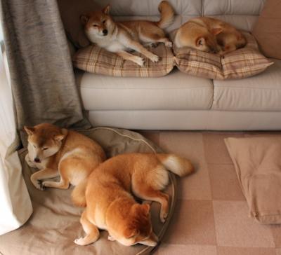 莫兰特打出统治级数据,凯尔特人击败勇士,NBA 格局的一道全新裂痕