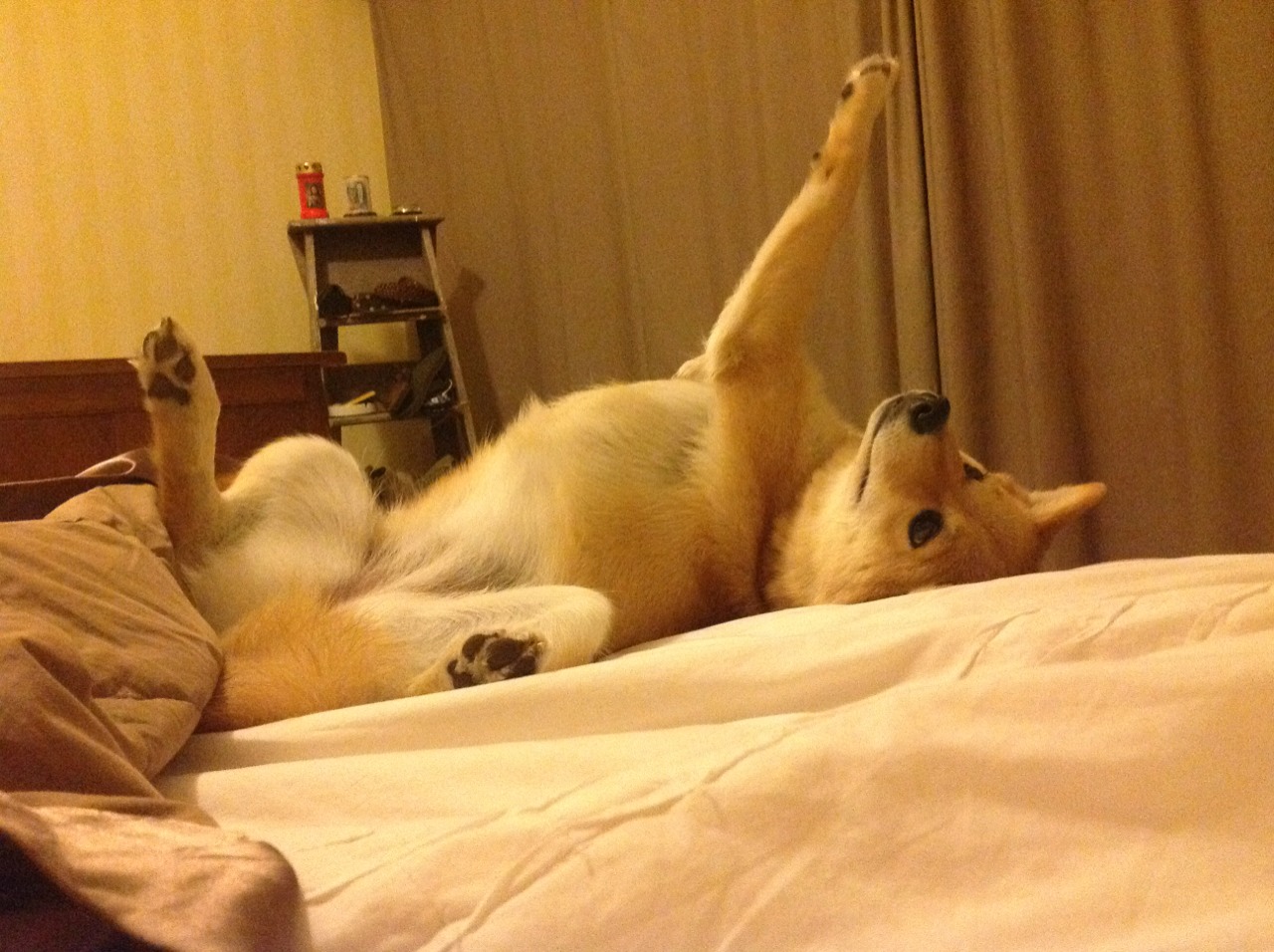 双线狂飙，F1争冠夜的引擎轰鸣中，三笘薰踢出统治级数据