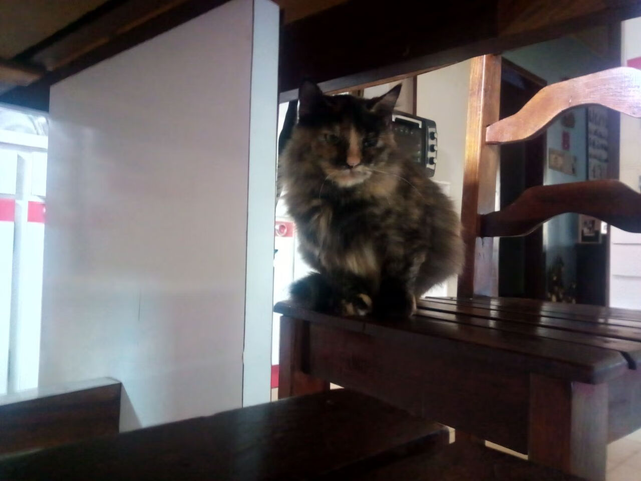 篮球欧冠风暴，76人淘汰赛焦点战横扫勇士，定义新时代跨界对决