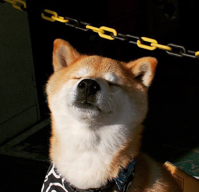 绝境冰锋,凯恩终场一击与荷兰海上马车夫的逆袭启示录