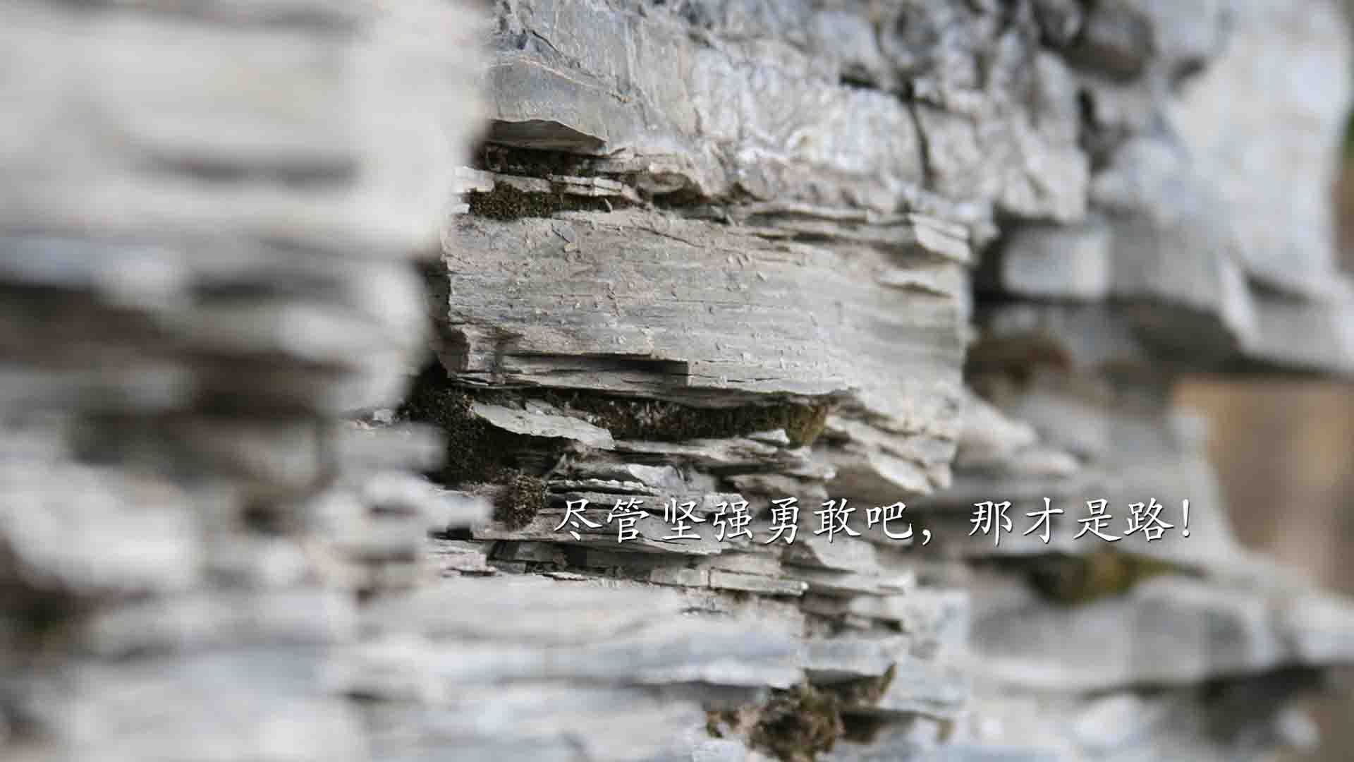 一剑封喉!罗马压哨绝杀毕尔巴鄂,贝林厄姆掌控攻防的艺术