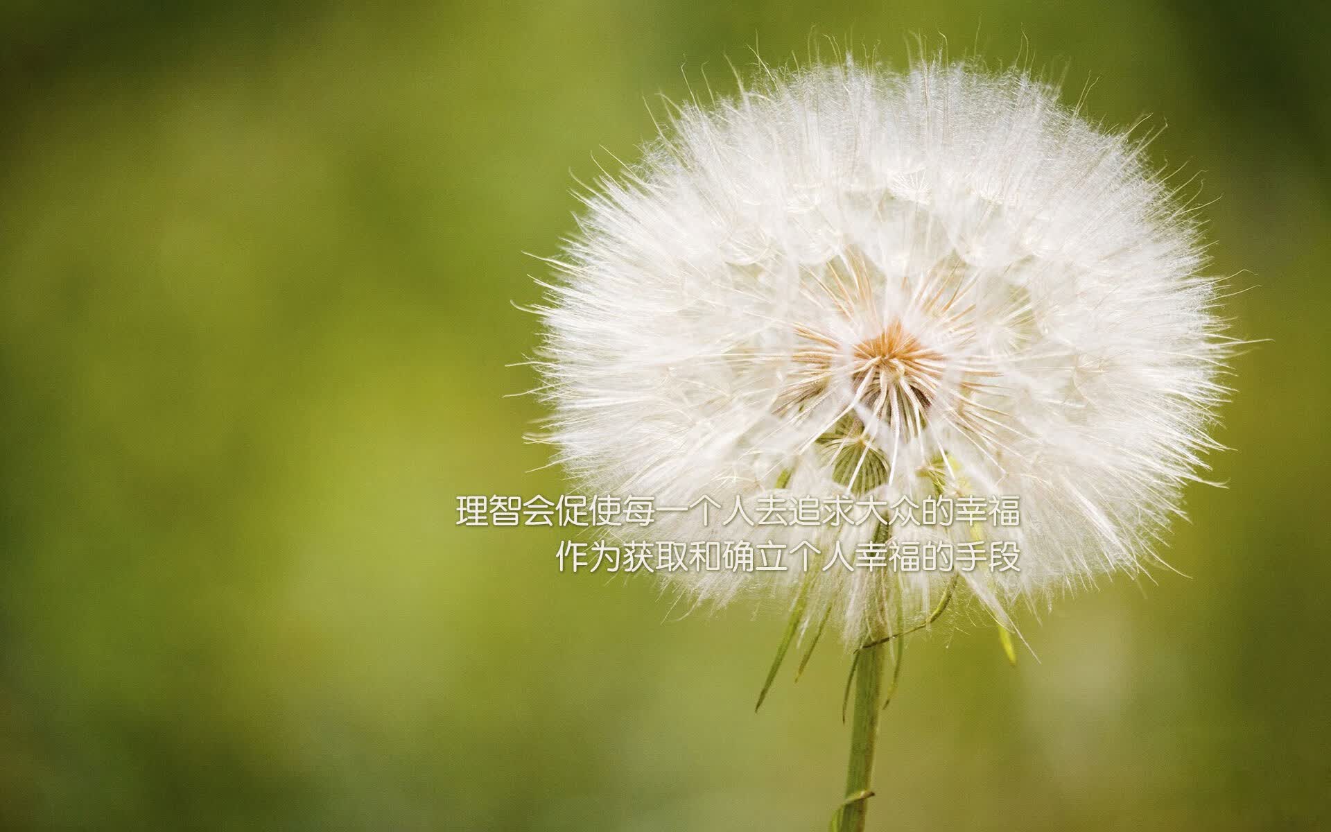 2026世界杯揭幕战,登贝莱独造三球,墨西哥铁血复仇韩国引爆北美之夜