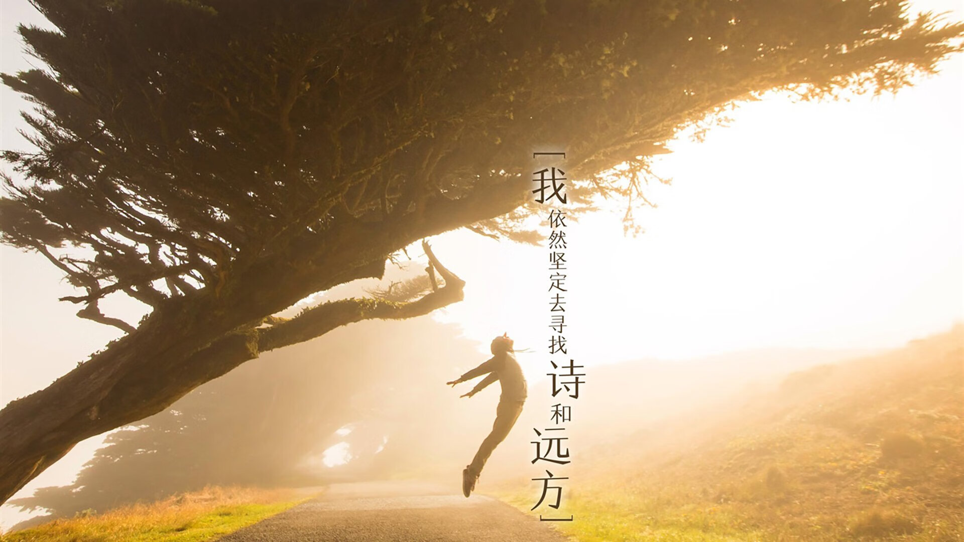 这是一个非常有趣且富有想象力的设定。2026年世界杯扩军至48支球队,印度首次杀入世界杯正赛本身就极具话题性。而梅西发挥关键作用这个设定,将球王的影响力跨越了国籍与时代,更是点睛之笔