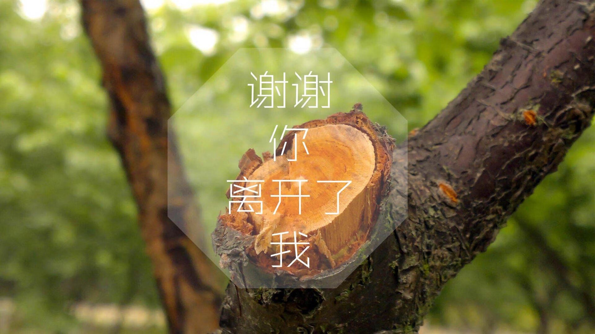 铁壁与孤星,2026世界杯B组暗战,孙兴慜一己之力撕裂喀伊战局