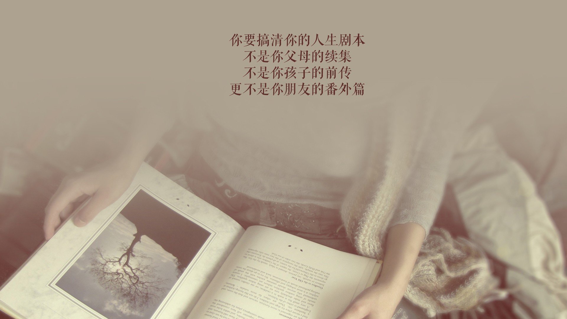 赤道线上的命运博弈—2026世界杯B组生死战，厄瓜多尔vs喀麦隆，卢卡库的孤星时刻